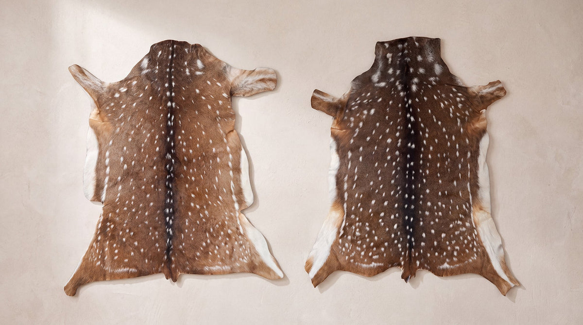 Upholstery-grade Axis deer hide showing its natural spotted pattern and clean usable center area