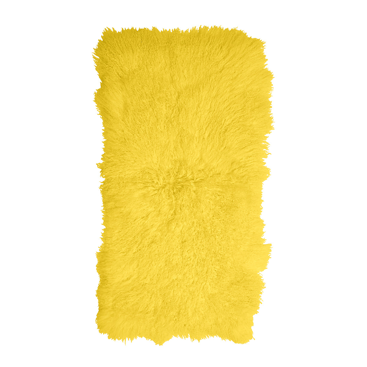 #33 Canary