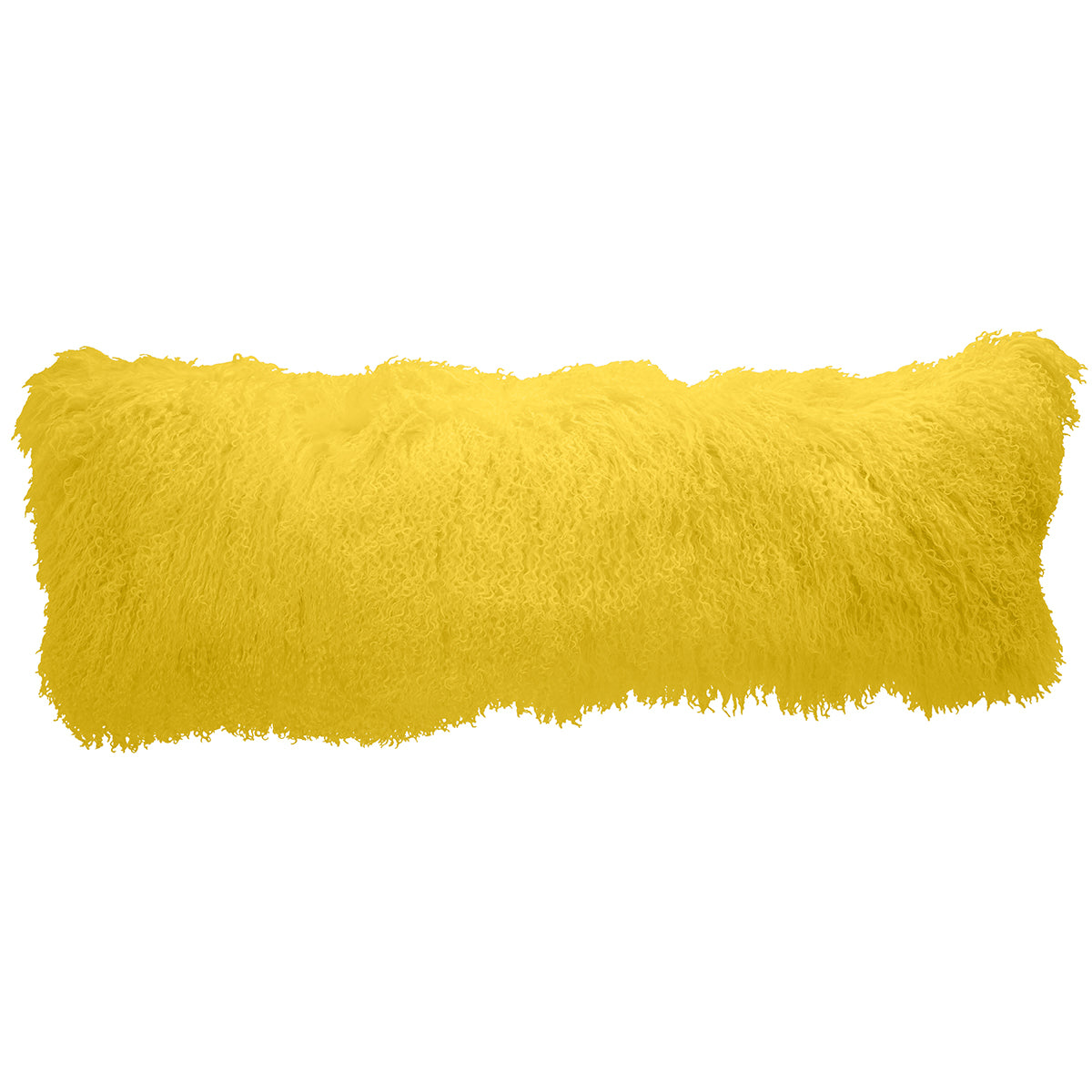 33 Canary Tibetan 12x40