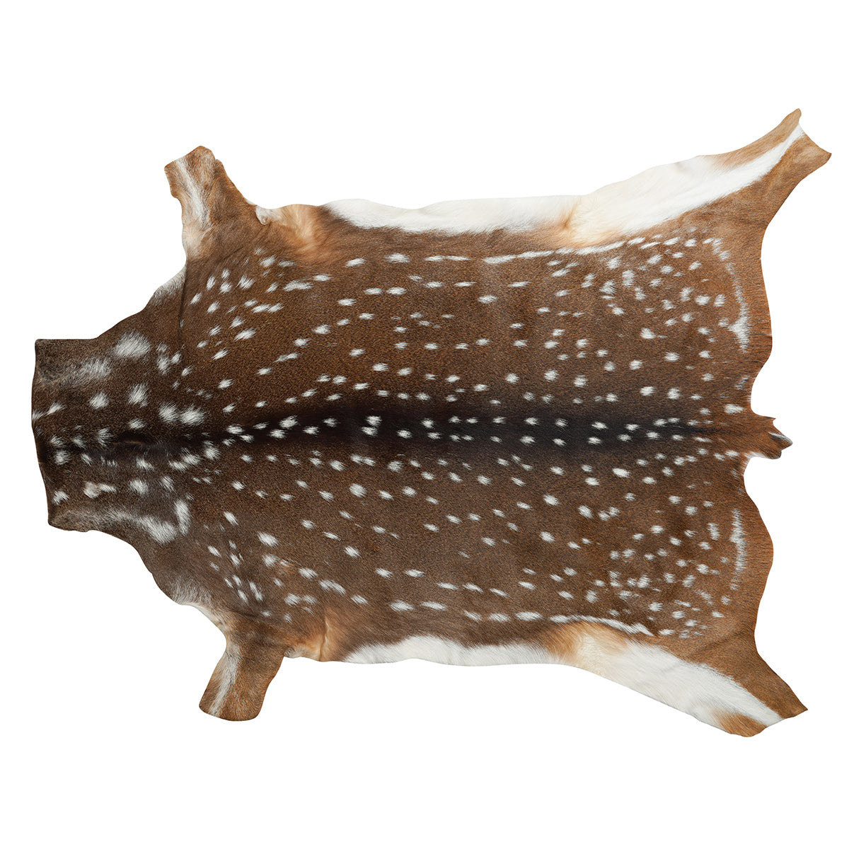 Genuine Axis deer hide in natural brown and white spotting, non-upholstery grade